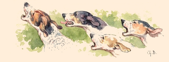 Illustration tirée de l'ouvrage Les Chiens courants français pour la chasse du lièvre (1866) - E. de Vézins - Forestié (Montauban) (20)